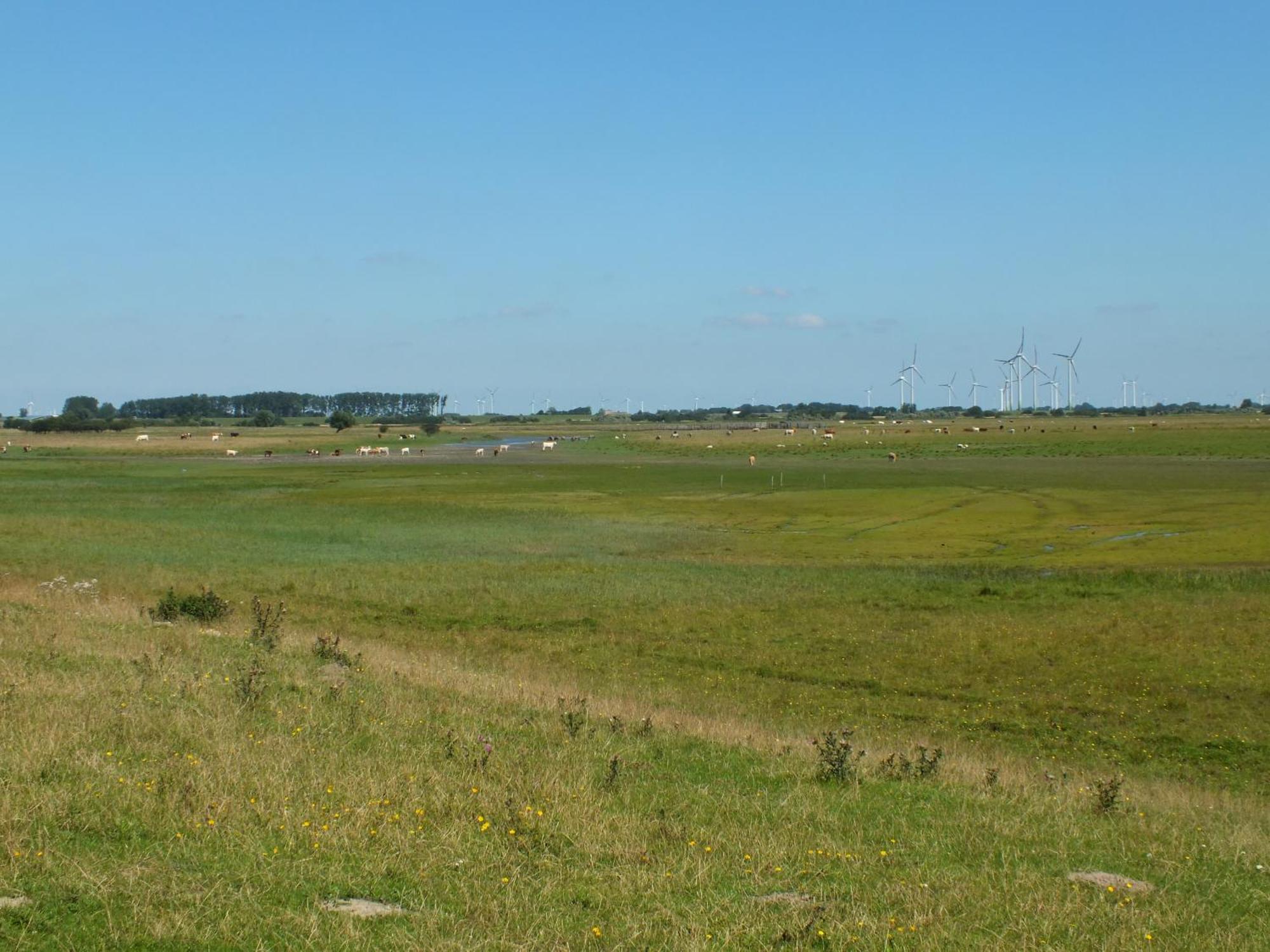 Ferienwohnung In Osterdeichstrich Oesterdeichstrich Esterno foto